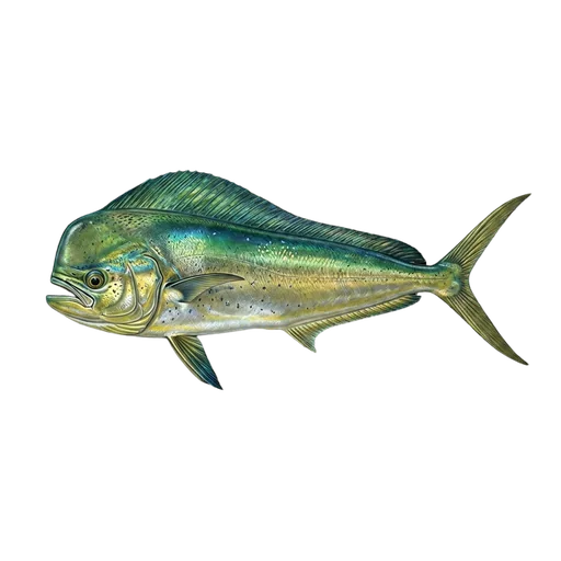 Lambuka
